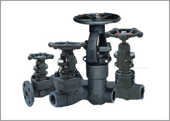 carbon steel 1018 forged valves manufacturer