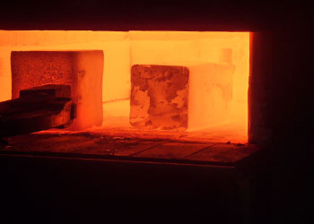 ferralium 255 forging manufacturer