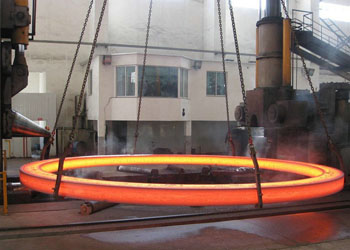 hastelloy n forging manufacturer