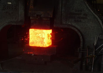 hastelloy w forging manufacturer