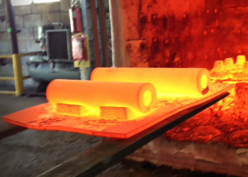 nickel 201 forging manufacturer