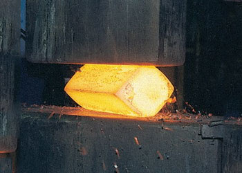 stainless steel 304 & 304L forging manufacturer