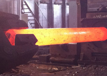 stainless steel 501 forging manufacturer
